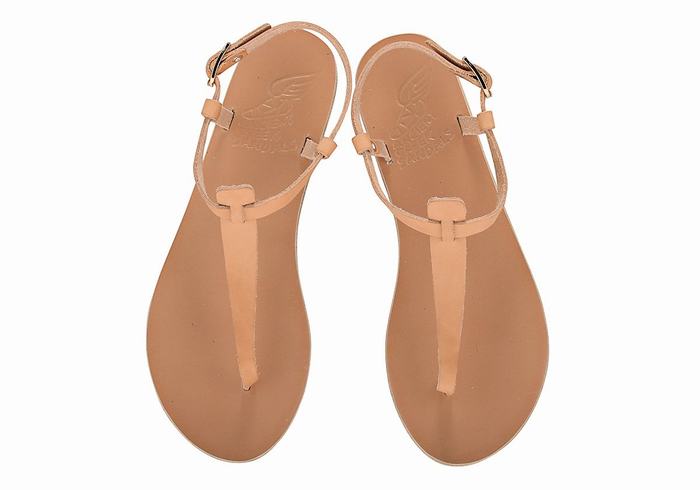 Sandales Bride Arrière Ancient Greek Sandals Lito Flip Flop Leather   | GVN-5958567